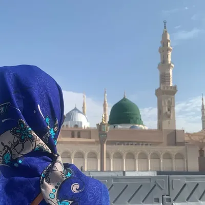 م.م مـَـي عـلاءالدين profile