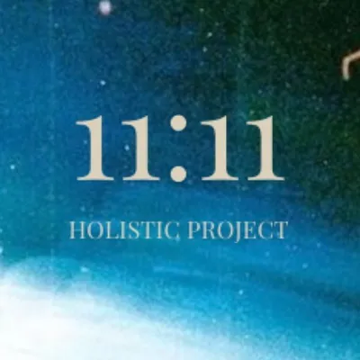 11:11 Holistic Project ๐ฟ๐ profile