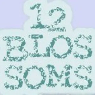 12Blossoms profile