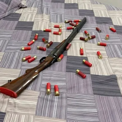 12 Bore aale Astarr profile