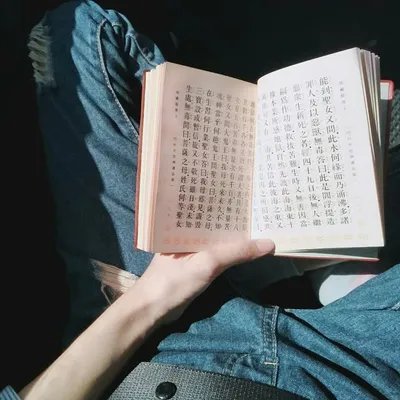 青與棉木先生 profile