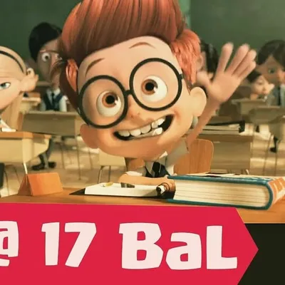 17 Bal profile