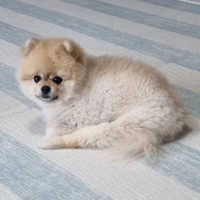 ☾ profile