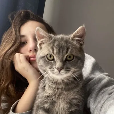 profile