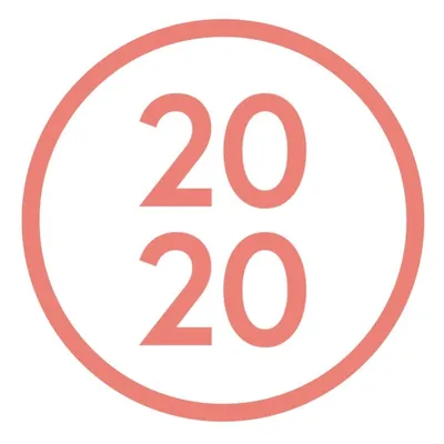 2020 Influencers profile