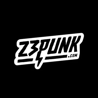 23punk profile
