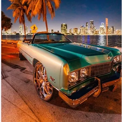 BAD ASS 7TRE 🌴SUMMER IN MIAMI🌴 profile