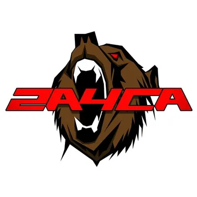 2A4CA profile