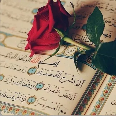 قرآن كريم profile