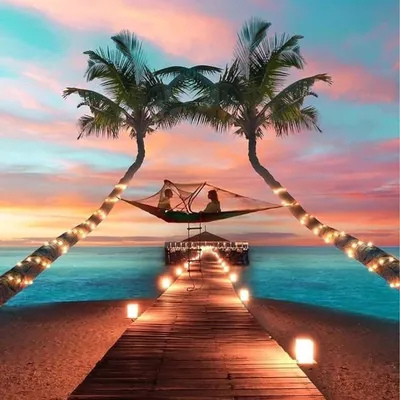 Travel | Adventure | Nature ๐ profile