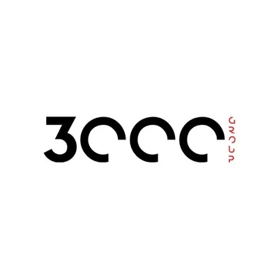 3000Group profile