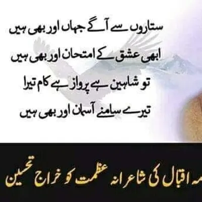 muhammad saeed profile
