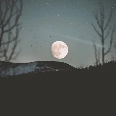 دار السلام | . ⠀⠀⠀⠀⠀ profile