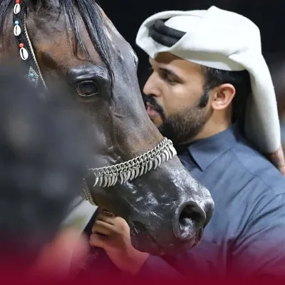 فـيصـل بـن فـلاح المـري profile