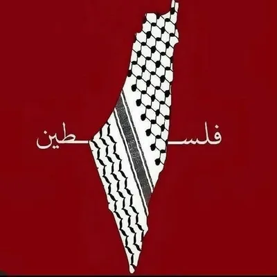 عــِشـق💚Aşk profile