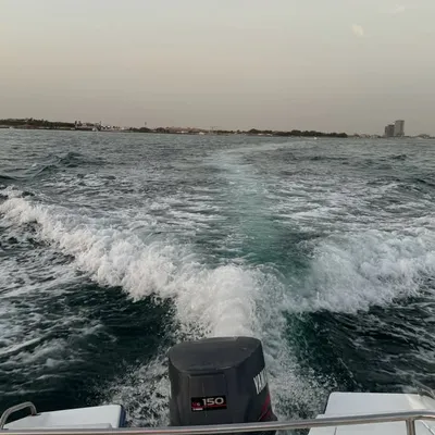 محمد profile