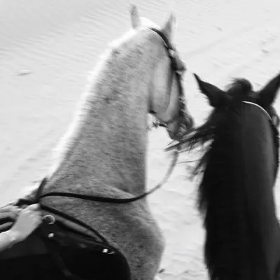 شريان ﴾ profile