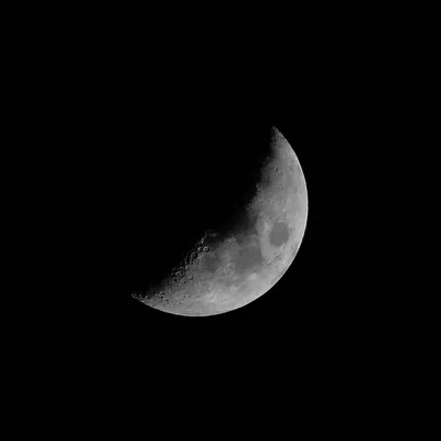 10 11 00 profile