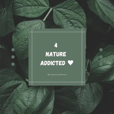 प्रकृति प्रेमी 💚 profile