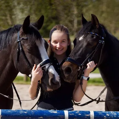 4bestponys - OFFICIAL profile