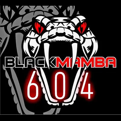 B L A C K - M A M B A ๐ profile