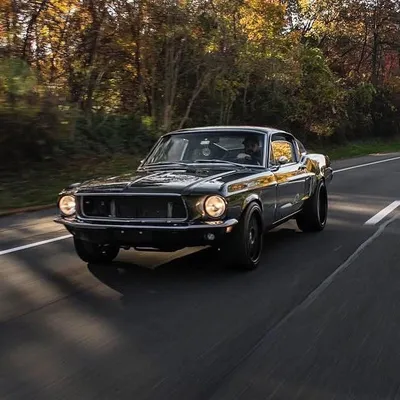 67Monster profile
