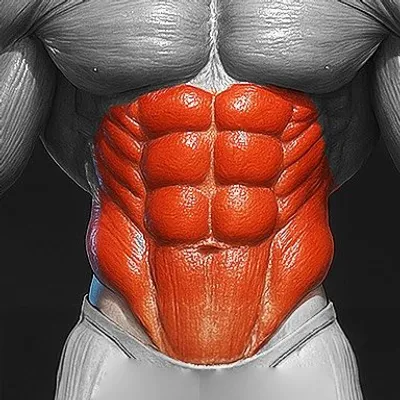 6pack Exercises profile
