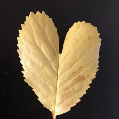 Food*R*Nature profile
