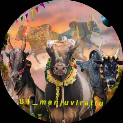 84_மஞ்சுவிரட்டு_பேரவை🔰🚩 profile