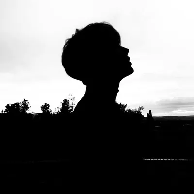 Evan .J. Lin profile