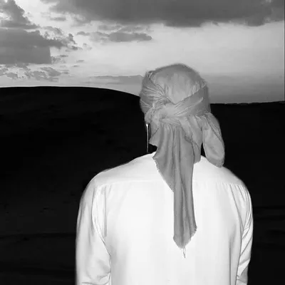 majed ๐ธ profile