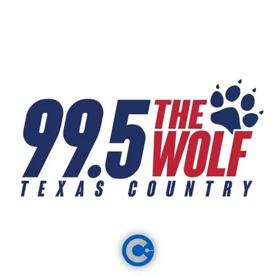 995theWolfDFW profile