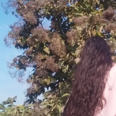 प्रकृति 🌞❤️ profile