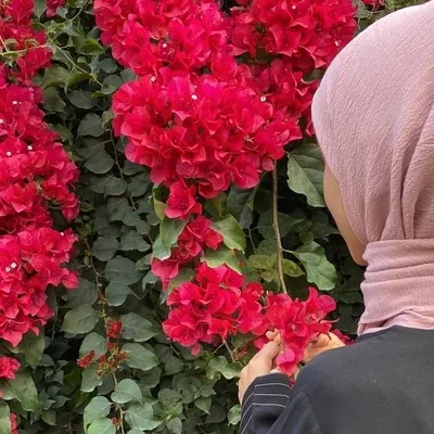 ๐โโแตฃโโ๐ profile