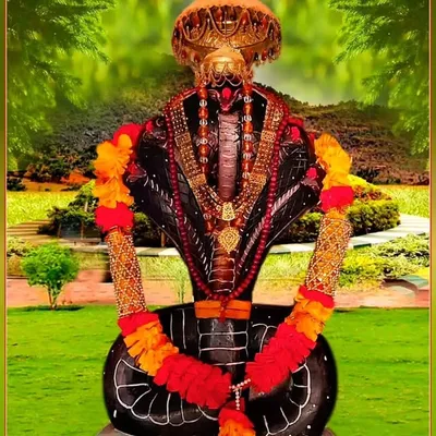 🕉️👑॥ મારો_પાંચણીયો_ગોગો II 👑🕉 profile