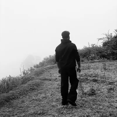  FARIZ profile