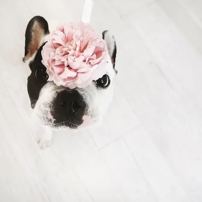 ʀᴏᴍ ᵜ ᴜᴜ profile