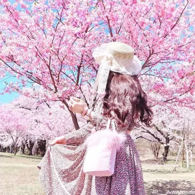 ๐ ๐ข ๐ฏ ๐ ๐ฐ ๐ฏ ๐งธโก profile