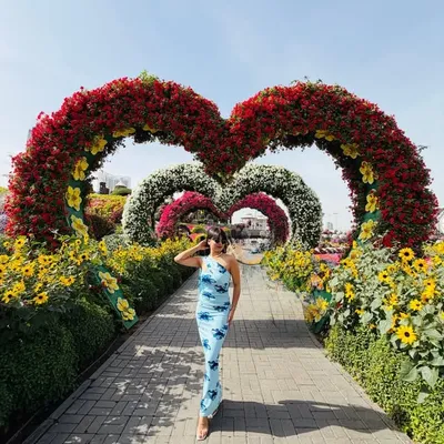 Shreshta Singh profile