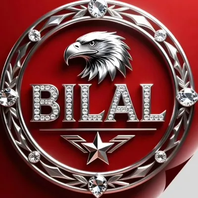 Bilal Saeed profile
