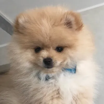 ๐ถ๐๐๐๐ฆ๐ถ profile