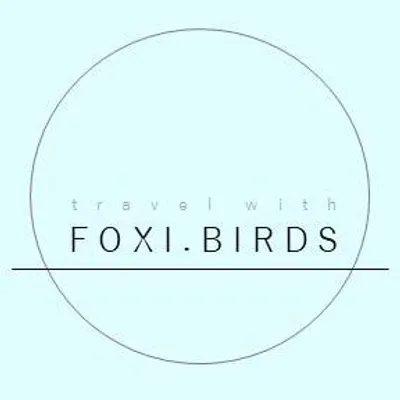 travel with FOXY.BIRDS profile