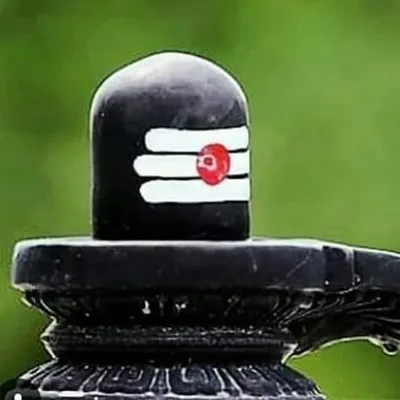 ๐ผ๐ฐ๐ท๐ฐ๐บ๐ฐ๐ป ๐ฝ๐พ ๐ณ๐ธ๐
๐ฐ๐ฝ๐พ profile