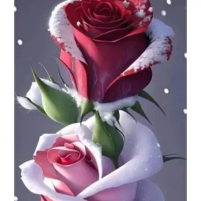 ❦ᴹⁱˢˢ〲♛Manisha profile