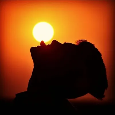 ๐ฉ ๐ช ๐ป ๐ฆ ๐ณ ๐ฌ profile