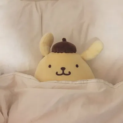 폼폼푸린 profile