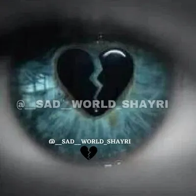 __sad__world_shayri profile