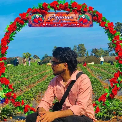 Shubham profile