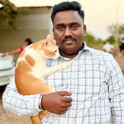 👑संकेत छगन भोसले👑 profile