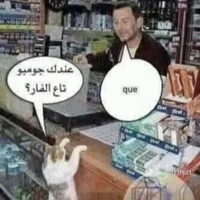 الشاعر profile